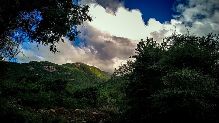 nature