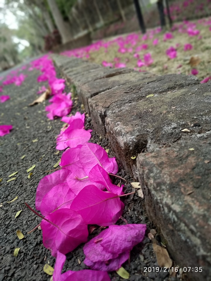 pink