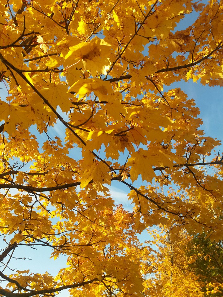 Autumn