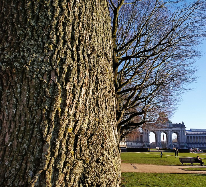 Parc du Cinquantenaire