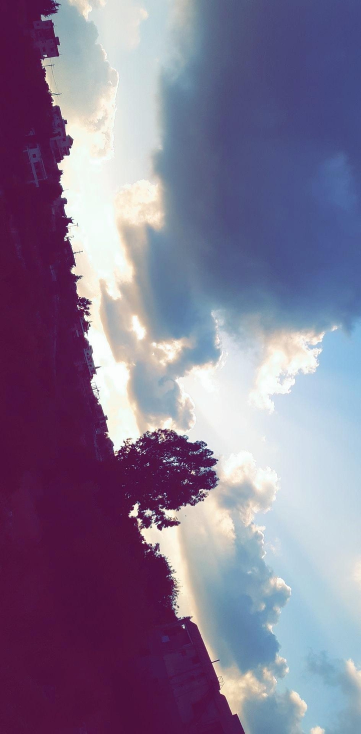 Sky