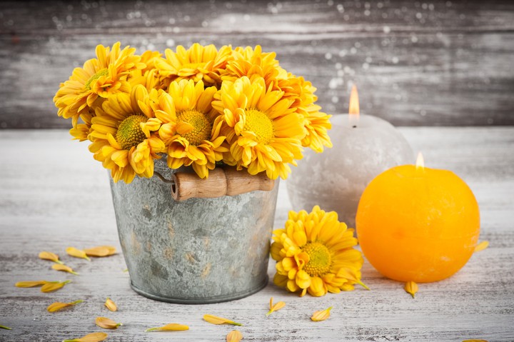 yellow flowers