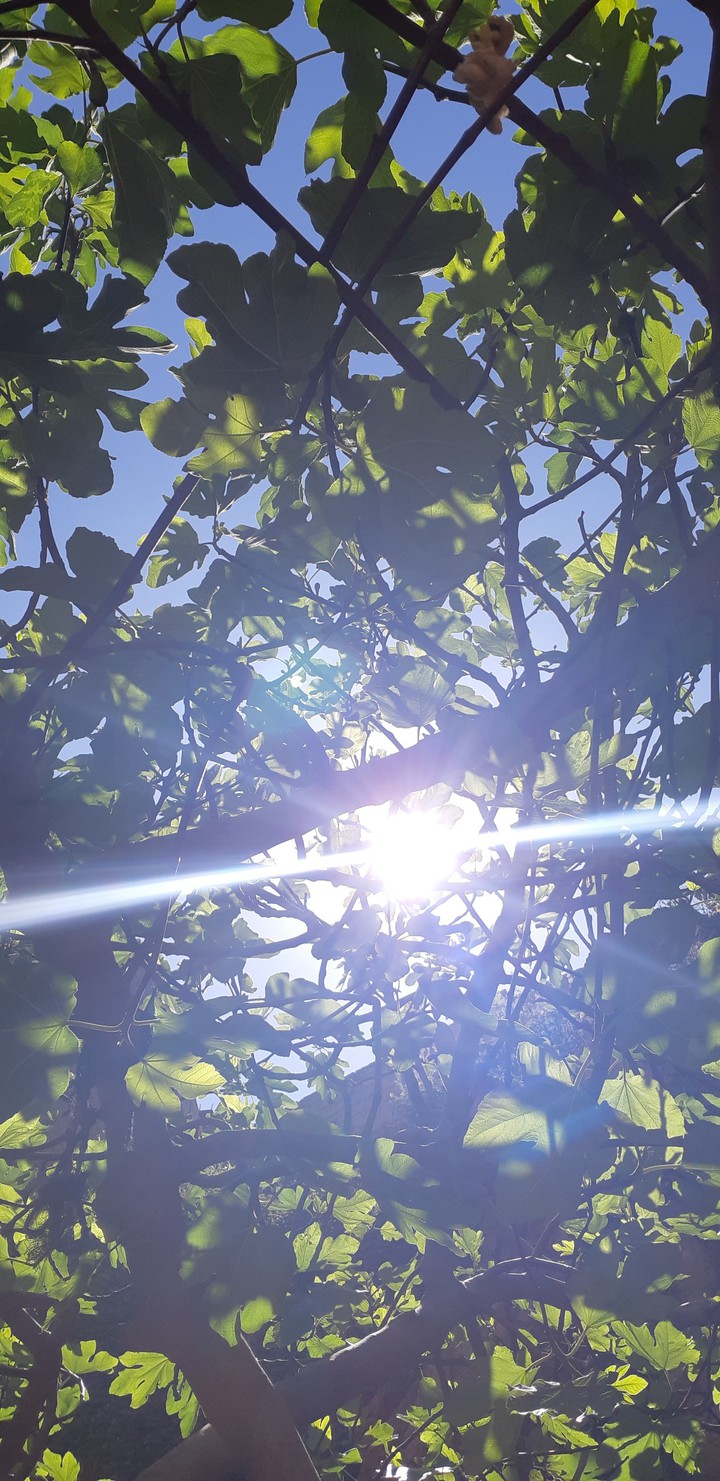 trough the sun