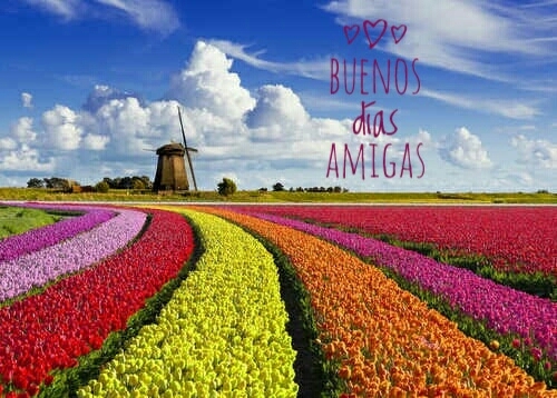 Buen día