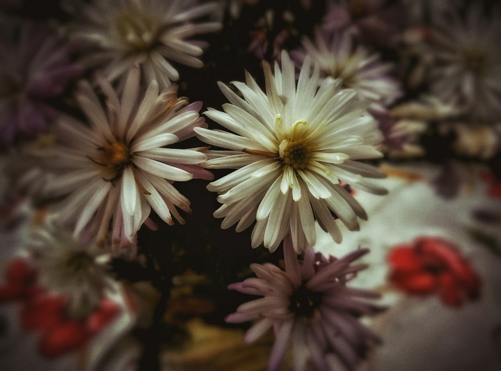 Just the flowers
