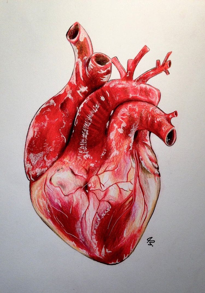 heart