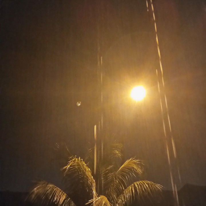 夜晚的太阳
