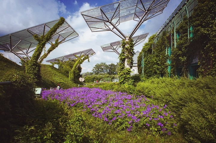 Garden University