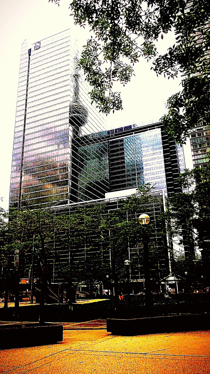 Mirrored Reflection