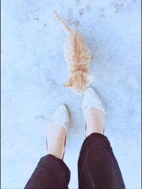 Ginger...