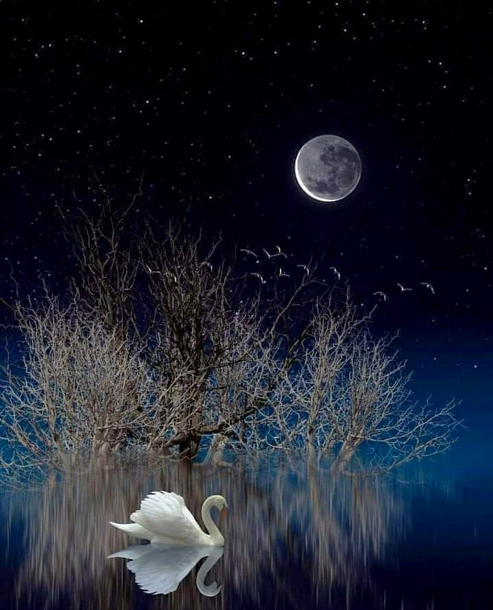 Nature