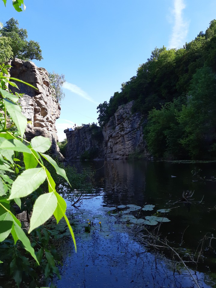 nature