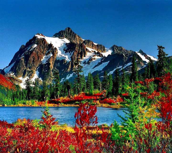 himalyan mountain.