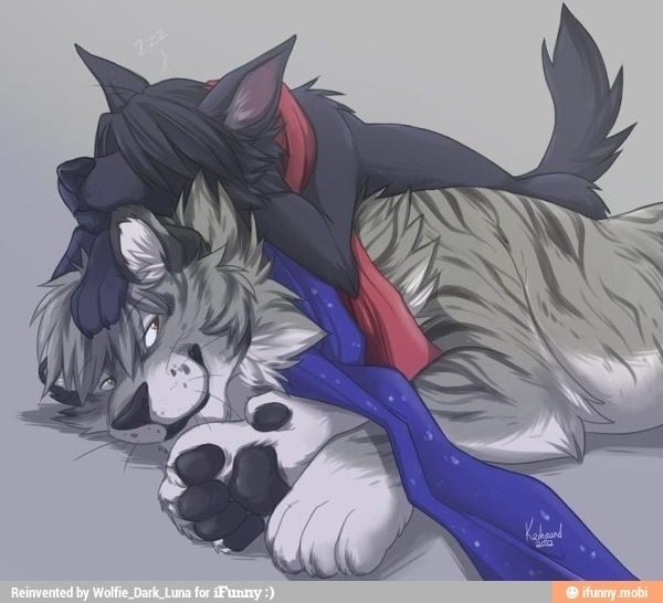 Anime Wolf Bestfriends