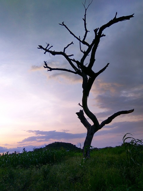 Loneliness