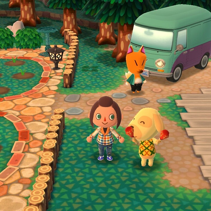 Pocket Camp