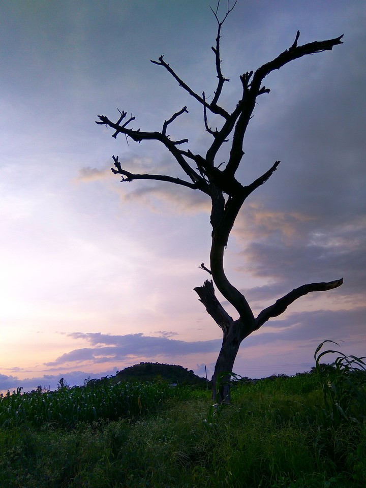 Loneliness