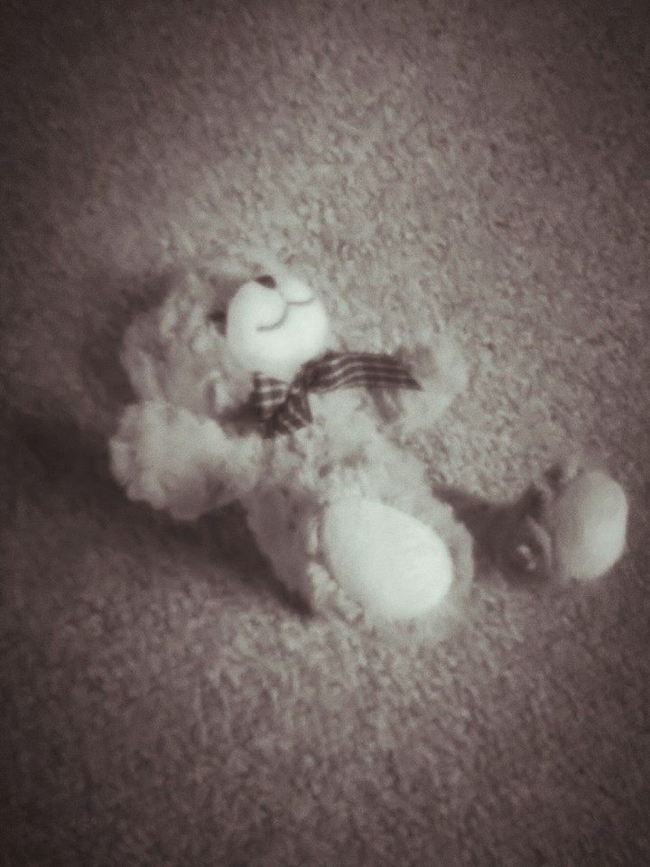 Teddy