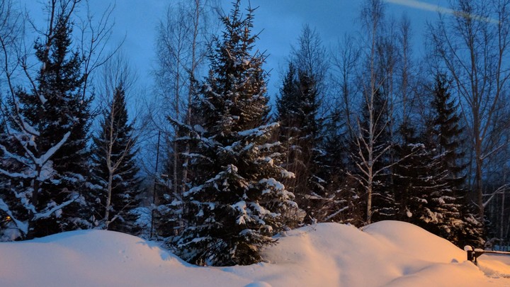 winter morning