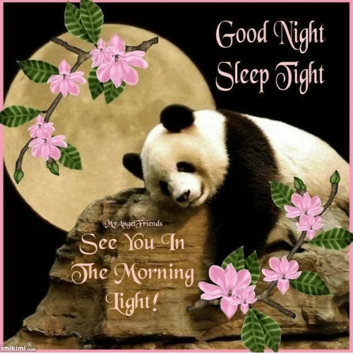 Good Night  Wednesday