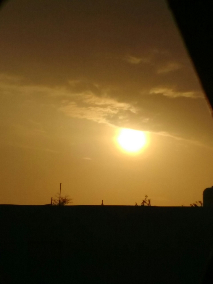 evening sun