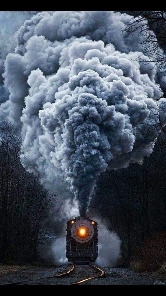 train