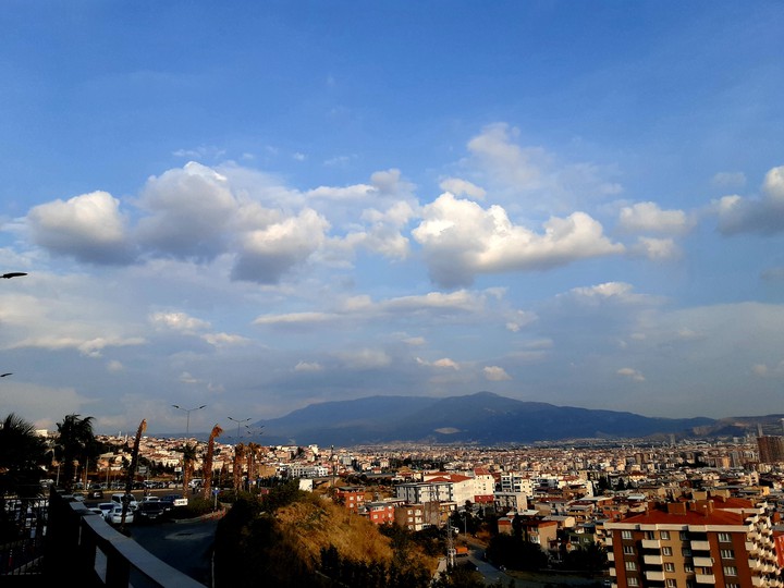 city