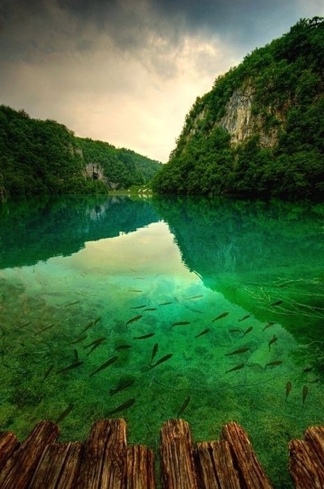 Nature