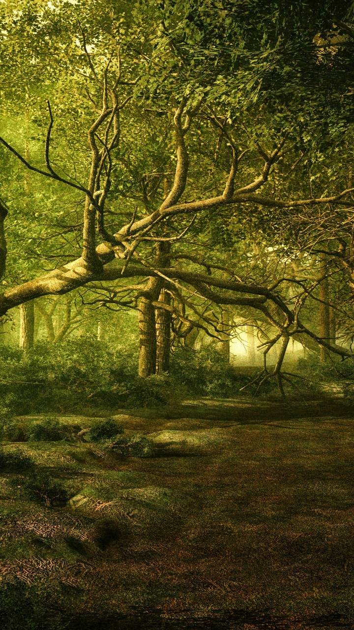 trees