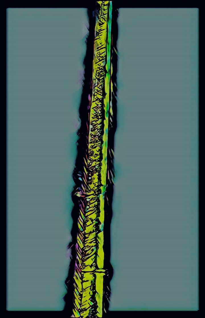 Spinal cord 2