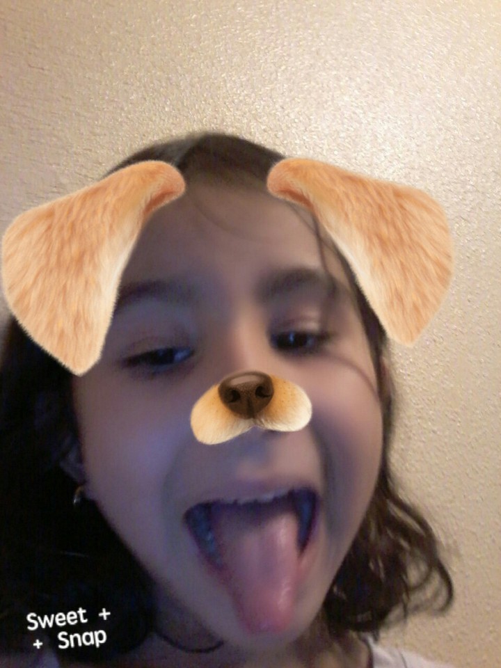 puppy