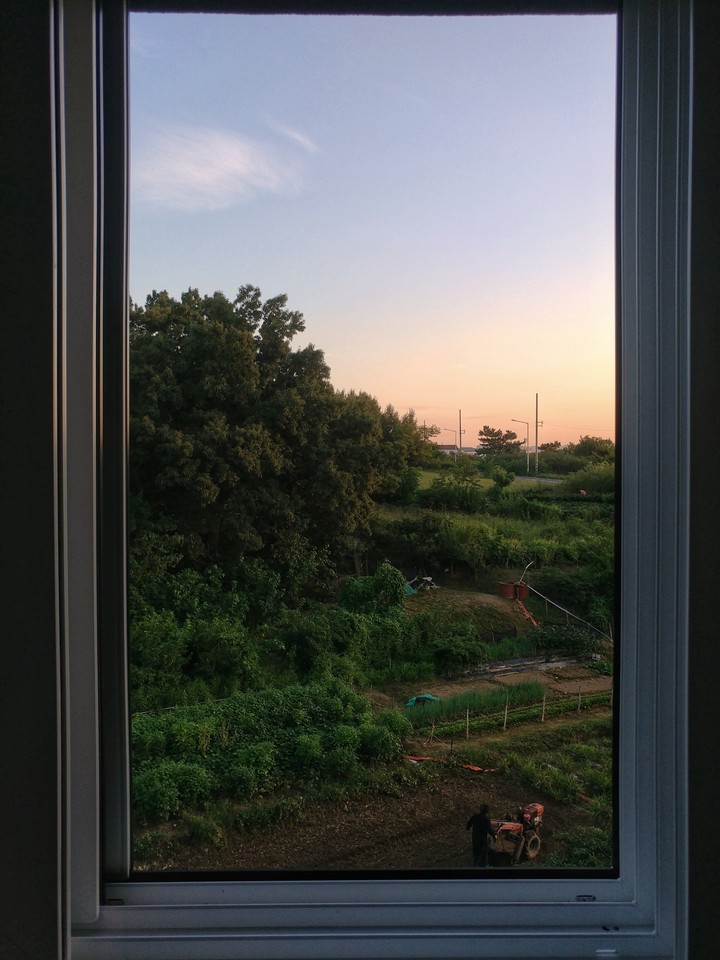my window is art gallary .