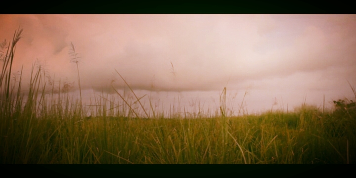 grass