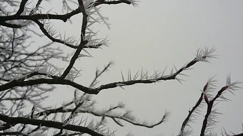 Snow and Ice