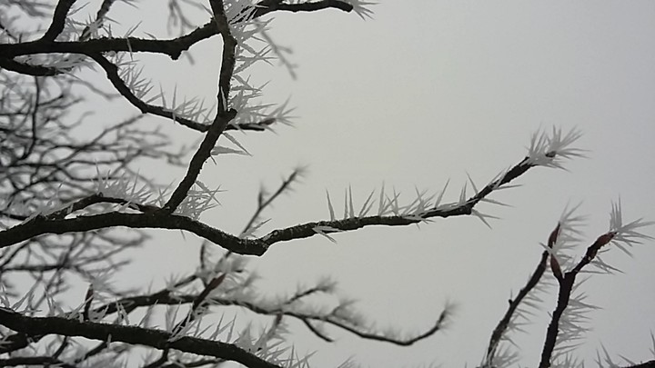 Snow and Ice