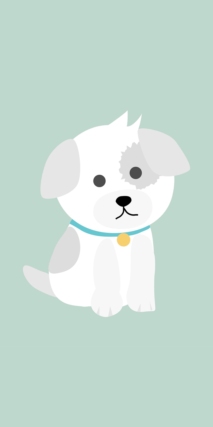 cute puppy
