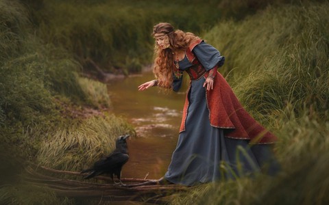 Raven above the weir