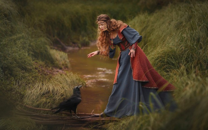 Raven above the weir