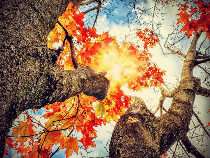 Autumn^_^