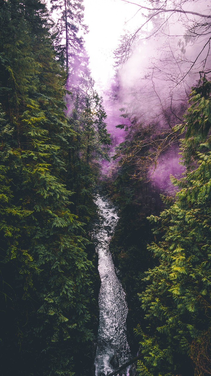 una atmosfera violeta