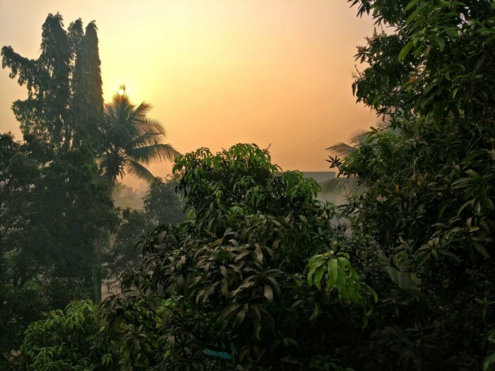 Evening In India