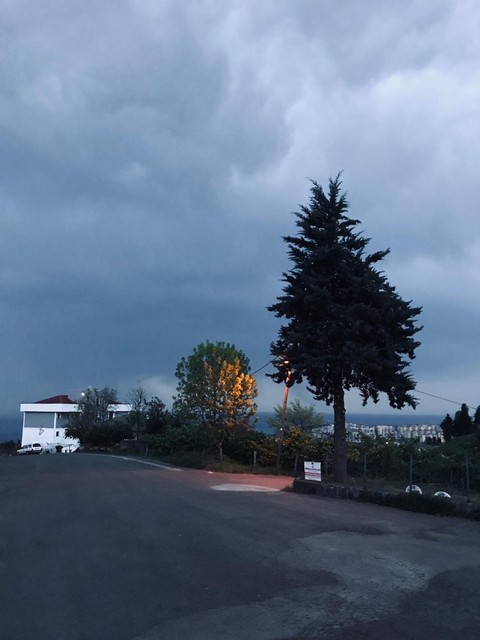 Twilight