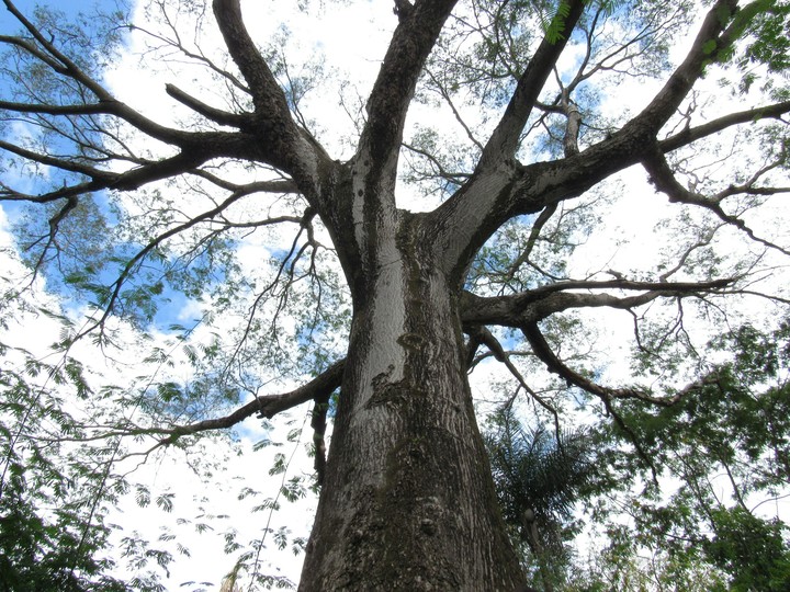 Nature
