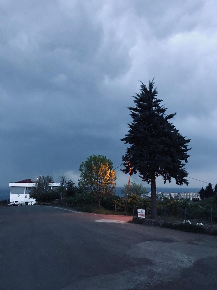 Twilight