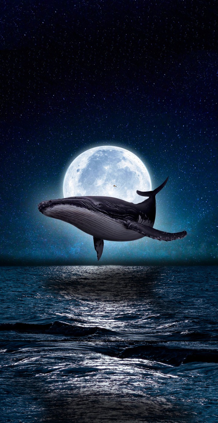 "Depths of the Ocean" /My Creative Work/