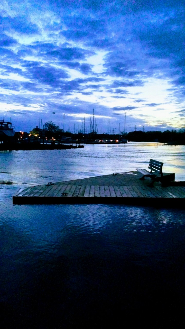 The docks