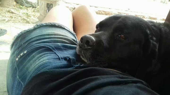 paz con mi mejor amigo