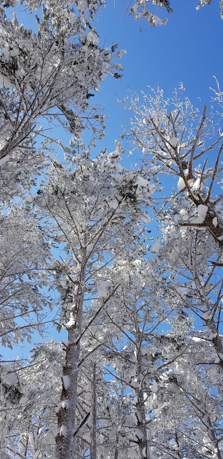 한라산
