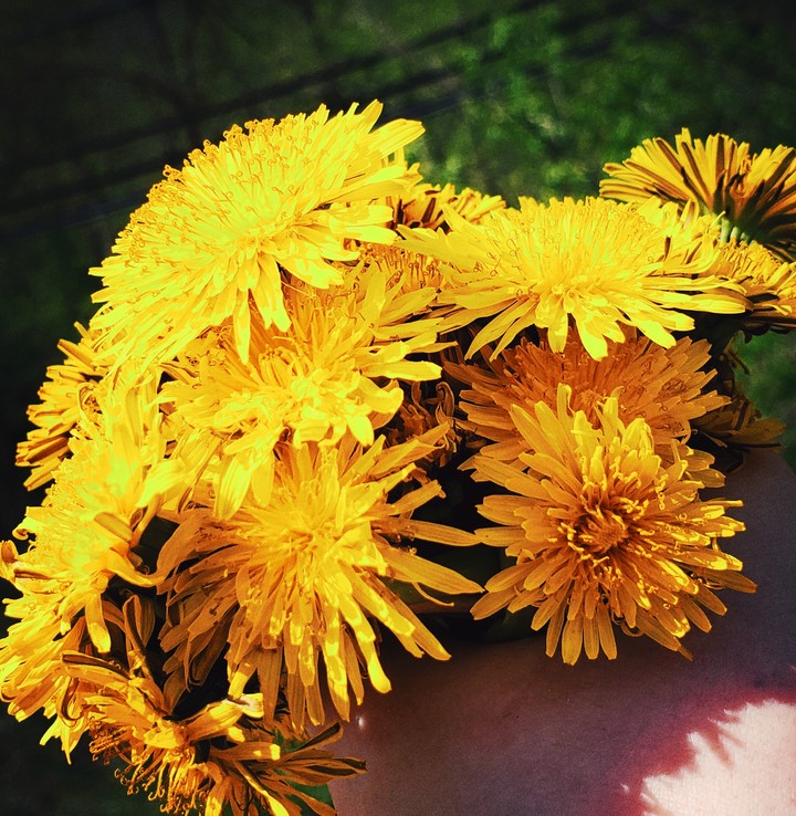 Flowers