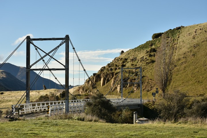 Bridge of Life